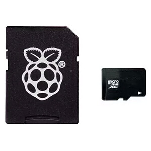 Raspberry Carte micro SD 32 Go avec Noobs
