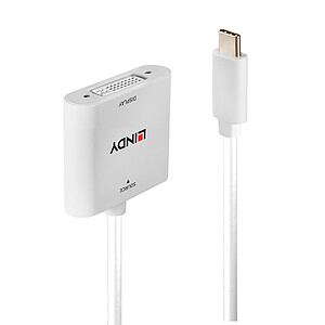 Lindy Adaptateur USB C DVI D M F