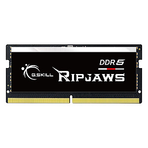 G Skill RipJaws Series SO DIMM 48 Go DDR5 5600 MHz CL46
