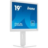 iiyama ProLite B1980D W5
