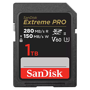 SanDisk Extreme PRO UHS II V60 1 To