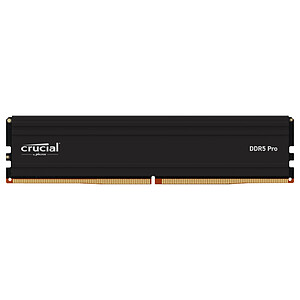 Crucial Pro DDR5 24 Go 6000 MHz CL48