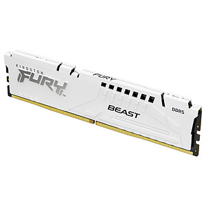 Kingston FURY Beast 16 Go DDR5 6400 MHz CL32 White
