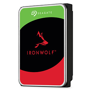 Seagate IronWolf 10 To ST10000VN000