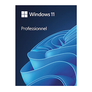 Microsoft Windows 11 Professionnel Version cle USB